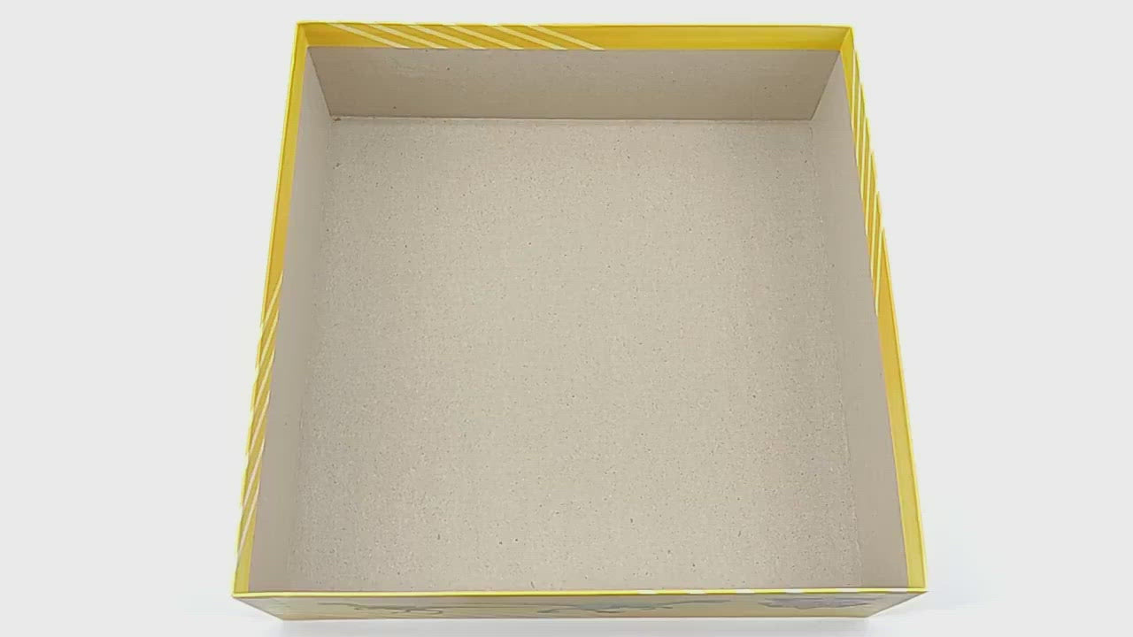 Load video: Dinosaur World - Board Game Insert